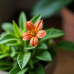 Tradescantia zebrina : La Plante Zébrée Incontournable pour Égayer Votre Intérieur