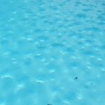 Balles filtrantes pour piscine : le guide complet et innovant pour 2025
