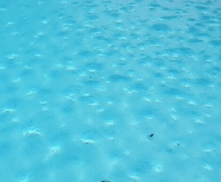 Balles filtrantes pour piscine : le guide complet et innovant pour 2025